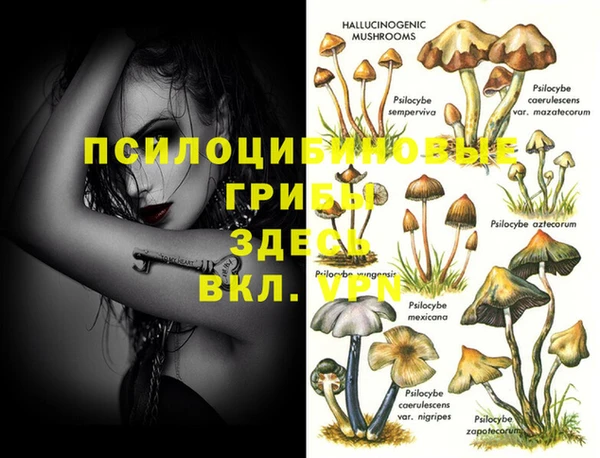 спайс Аркадак