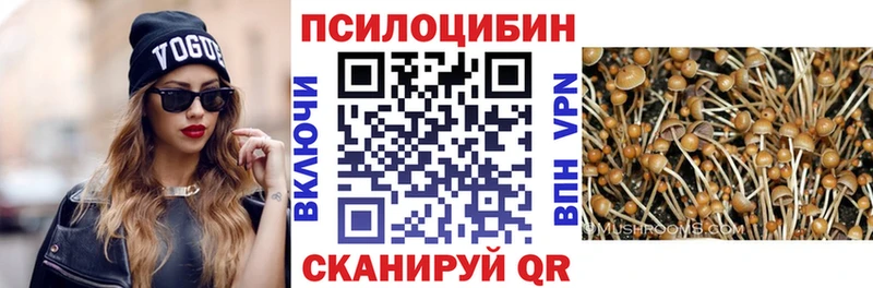 закладка  Оленегорск  Псилоцибиновые грибы Magic Shrooms 